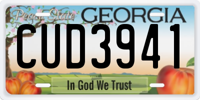 GA license plate CUD3941