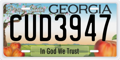GA license plate CUD3947