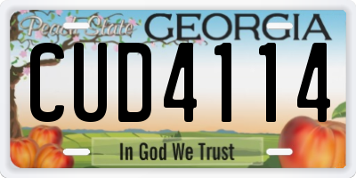 GA license plate CUD4114