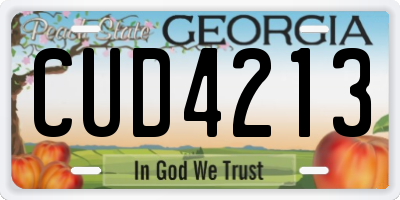 GA license plate CUD4213