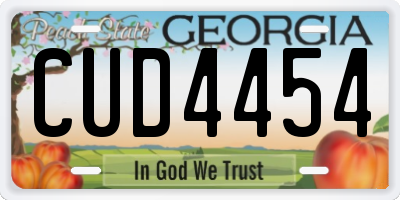 GA license plate CUD4454