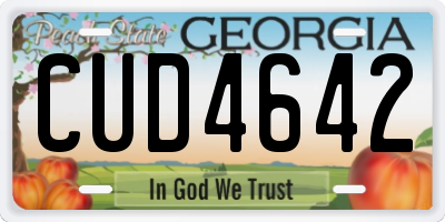 GA license plate CUD4642