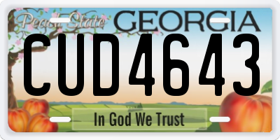 GA license plate CUD4643