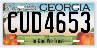 GA license plate CUD4653
