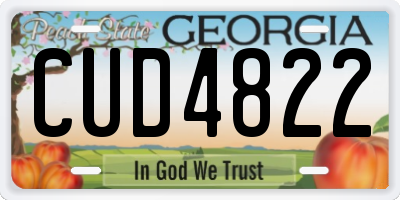 GA license plate CUD4822