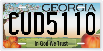 GA license plate CUD5110