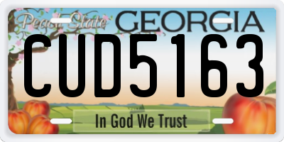 GA license plate CUD5163