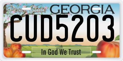 GA license plate CUD5203