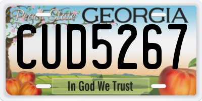 GA license plate CUD5267