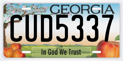 GA license plate CUD5337