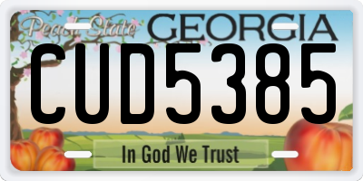 GA license plate CUD5385