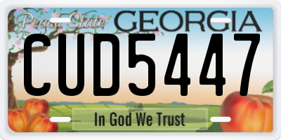 GA license plate CUD5447