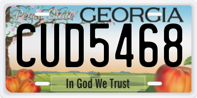 GA license plate CUD5468