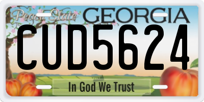 GA license plate CUD5624