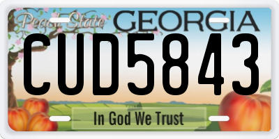 GA license plate CUD5843