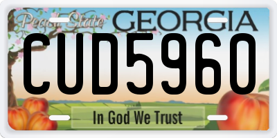 GA license plate CUD5960