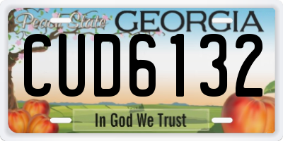 GA license plate CUD6132