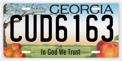 GA license plate CUD6163