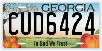 GA license plate CUD6424