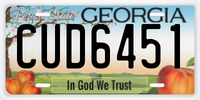 GA license plate CUD6451