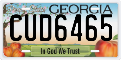 GA license plate CUD6465