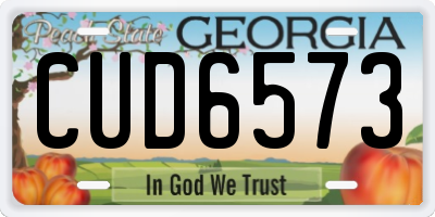 GA license plate CUD6573