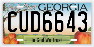 GA license plate CUD6643
