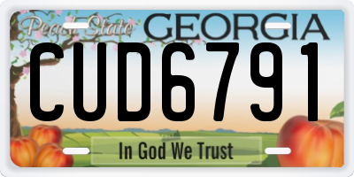GA license plate CUD6791