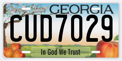 GA license plate CUD7029