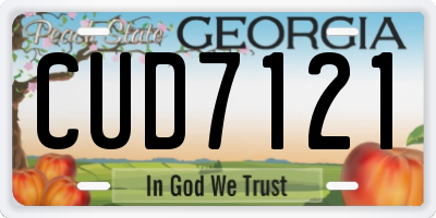 GA license plate CUD7121