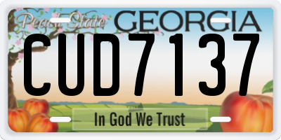 GA license plate CUD7137