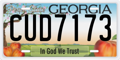 GA license plate CUD7173