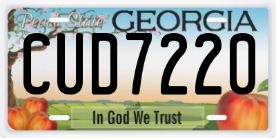GA license plate CUD7220