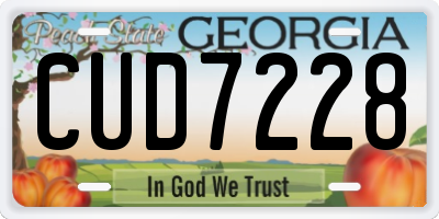GA license plate CUD7228
