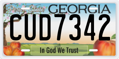GA license plate CUD7342