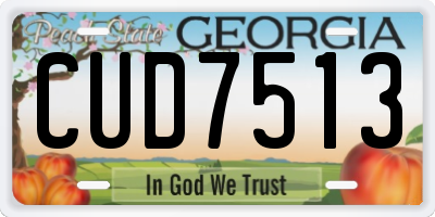 GA license plate CUD7513