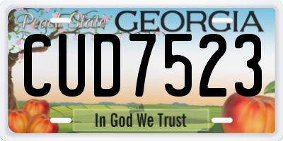 GA license plate CUD7523