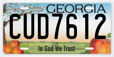 GA license plate CUD7612