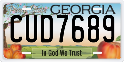 GA license plate CUD7689