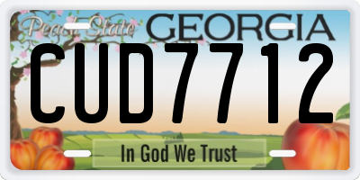 GA license plate CUD7712