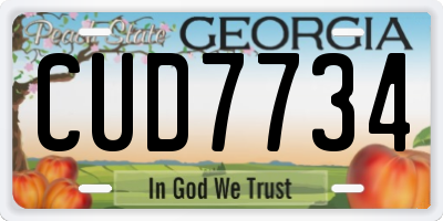 GA license plate CUD7734