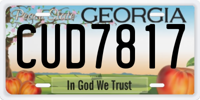 GA license plate CUD7817