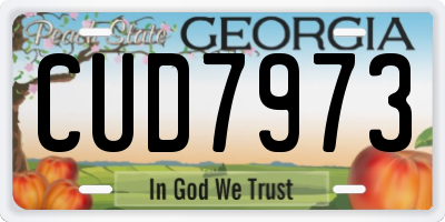 GA license plate CUD7973