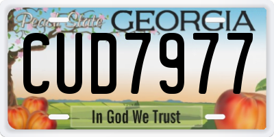 GA license plate CUD7977