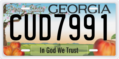 GA license plate CUD7991