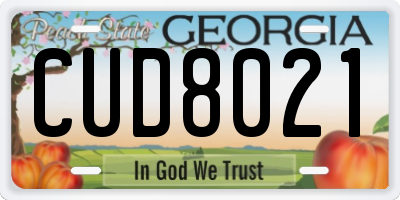 GA license plate CUD8021