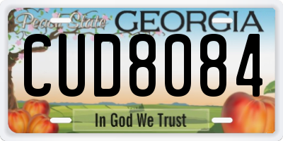 GA license plate CUD8084