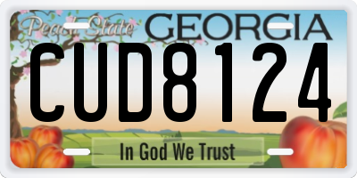 GA license plate CUD8124