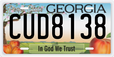 GA license plate CUD8138