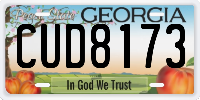 GA license plate CUD8173